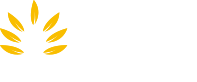 Bah Yoga